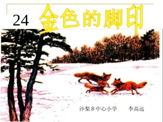 《金色的脚印》