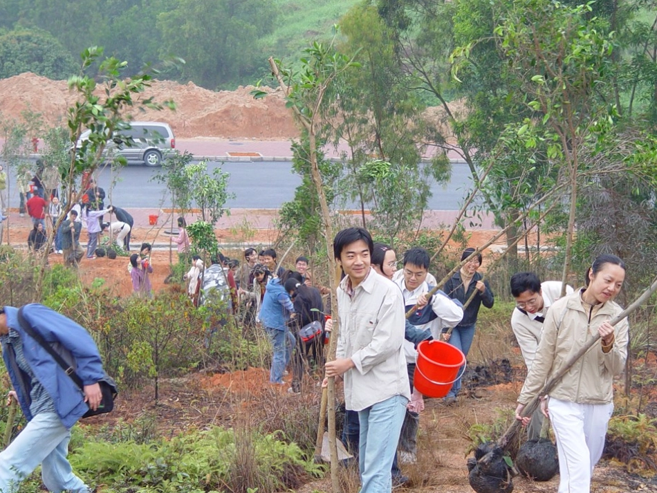 植树的季节课件3_第3页