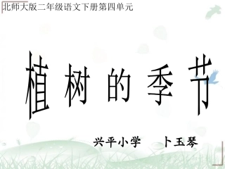 植树的季节课件3