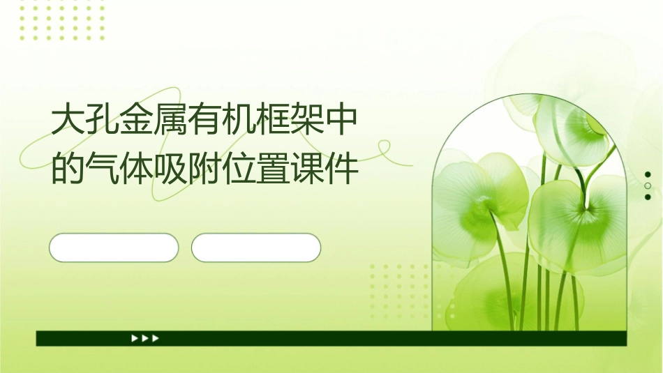 大孔金属有机框架中的气体吸附位置课件_第1页