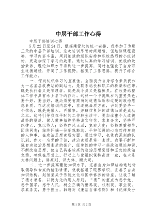 中层干部工作心得