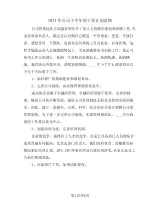 2024年公司下半年的工作计划范例(3篇)