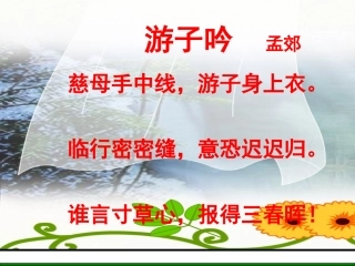 《妈妈的账单》