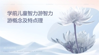 学前儿童智力游戏智力游戏概念及特点护理课件