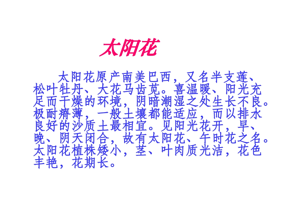 北师大版四年级语文下册《种一片太阳花2》PPT课件_第2页