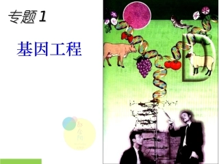 DNA重组技术的工具