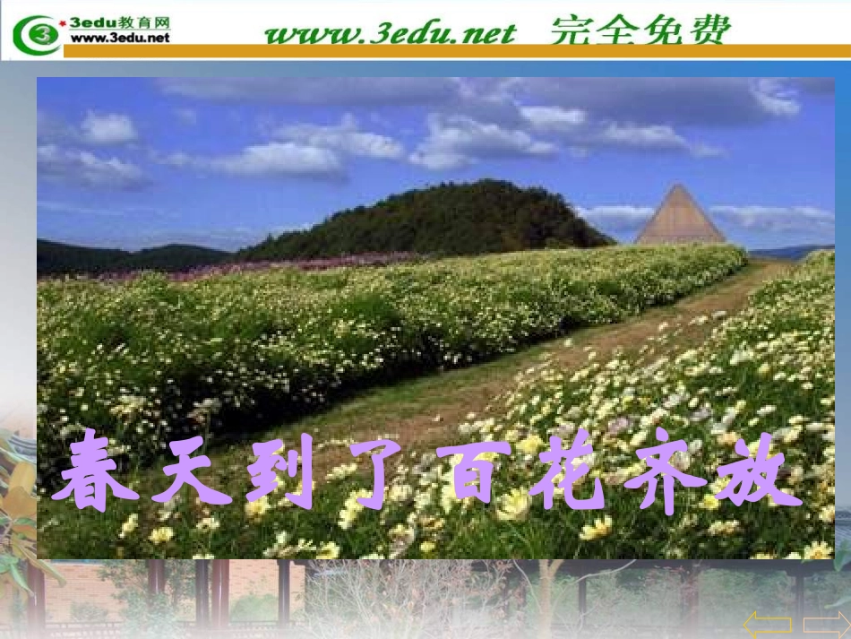 二年级下册(第一单元)解决问题(三)_第2页