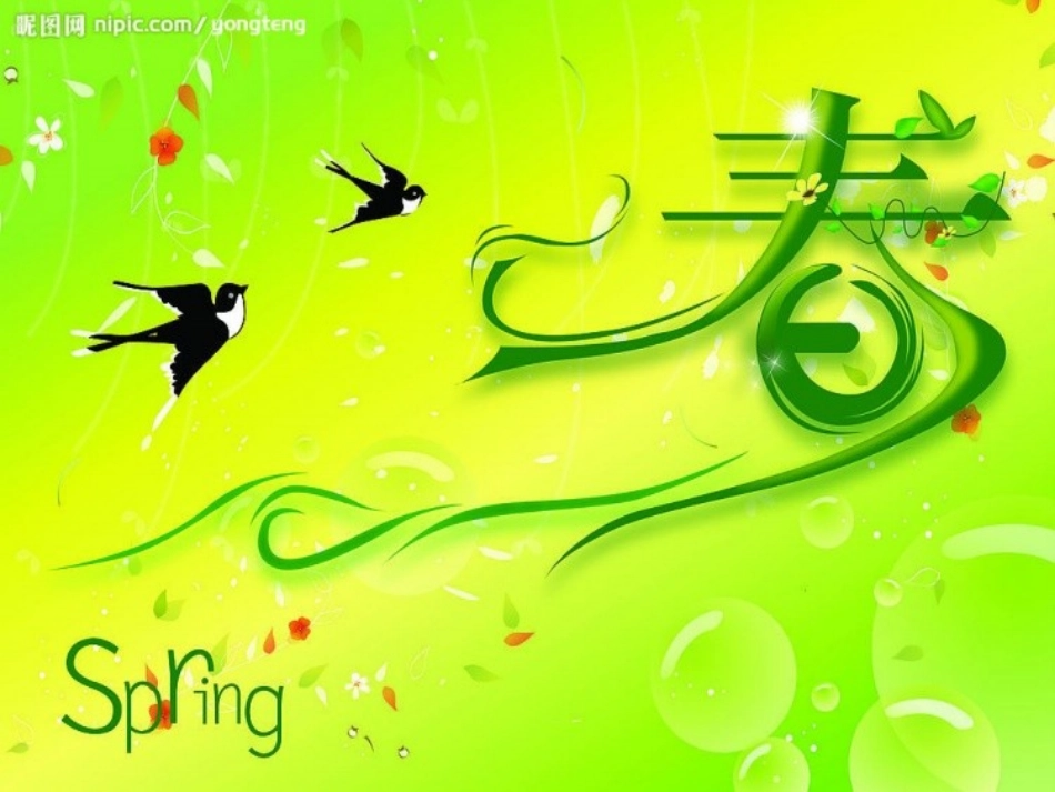 理想的翅膀课件1_第1页