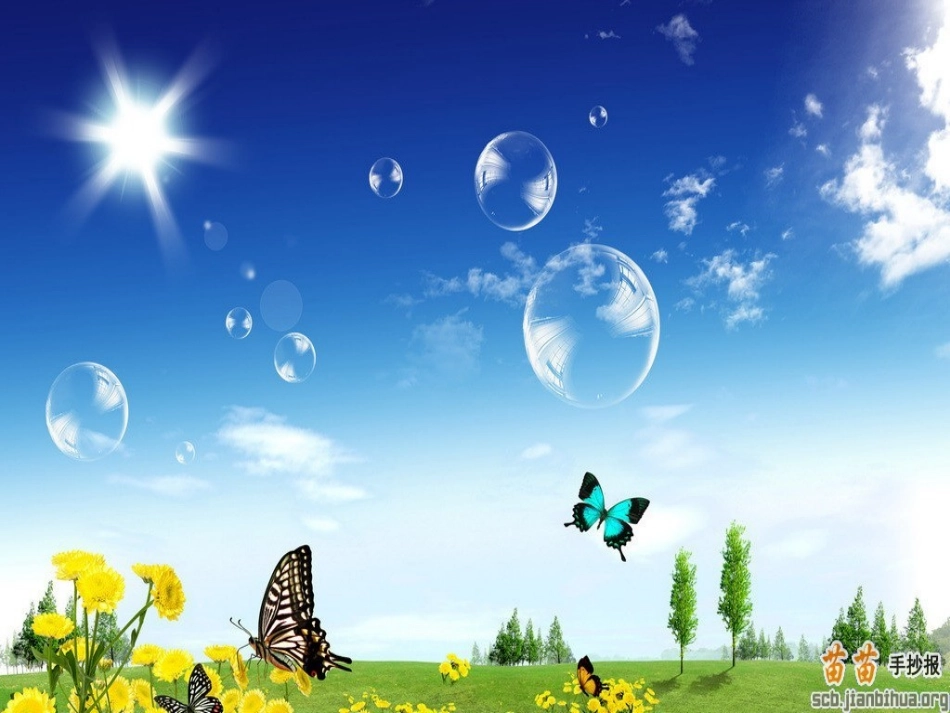 理想的翅膀课件1_第2页