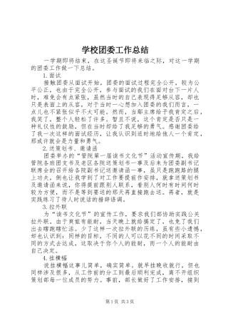 学校团委工作总结 (24)
