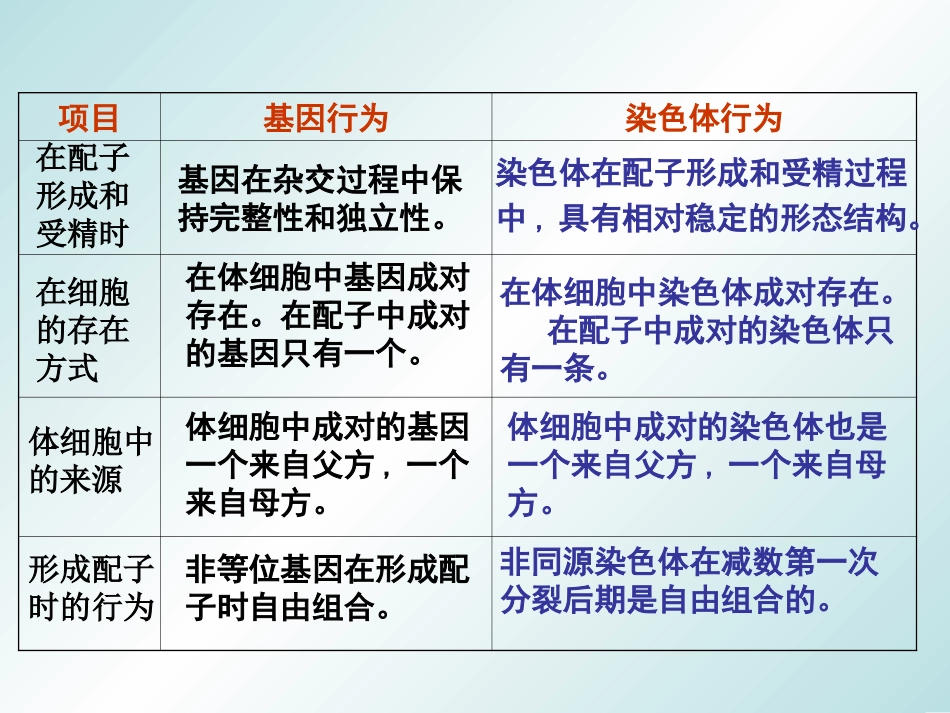 基因在染色体上1_第3页