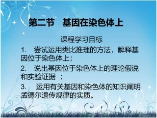 基因在染色体上1