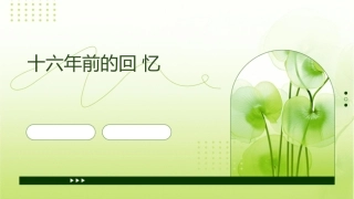 十六年前的回忆正式课件
