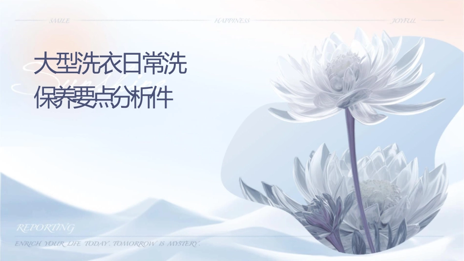 大型洗衣设备日常洗涤保养要点分析课件_第1页