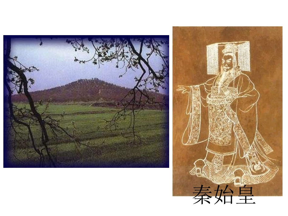 秦兵马俑课件_第3页