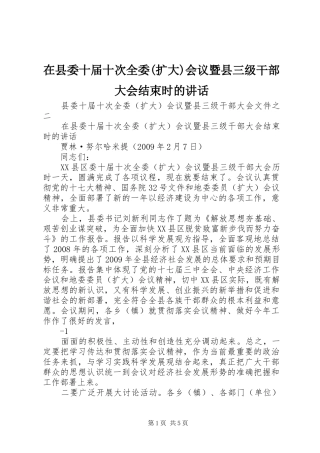 在县委十届十次全委(扩大)会议暨县三级干部大会结束时的讲话发言