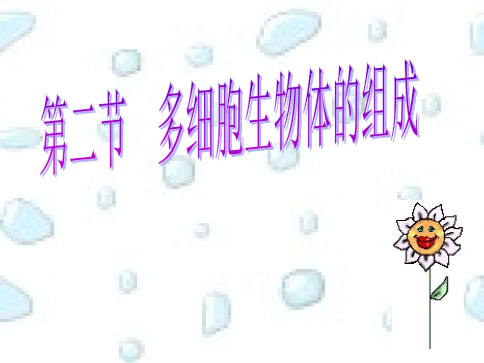 《多细胞生物体的组成》参考课件2_第2页