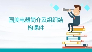 国美电器简介及组织结构课件