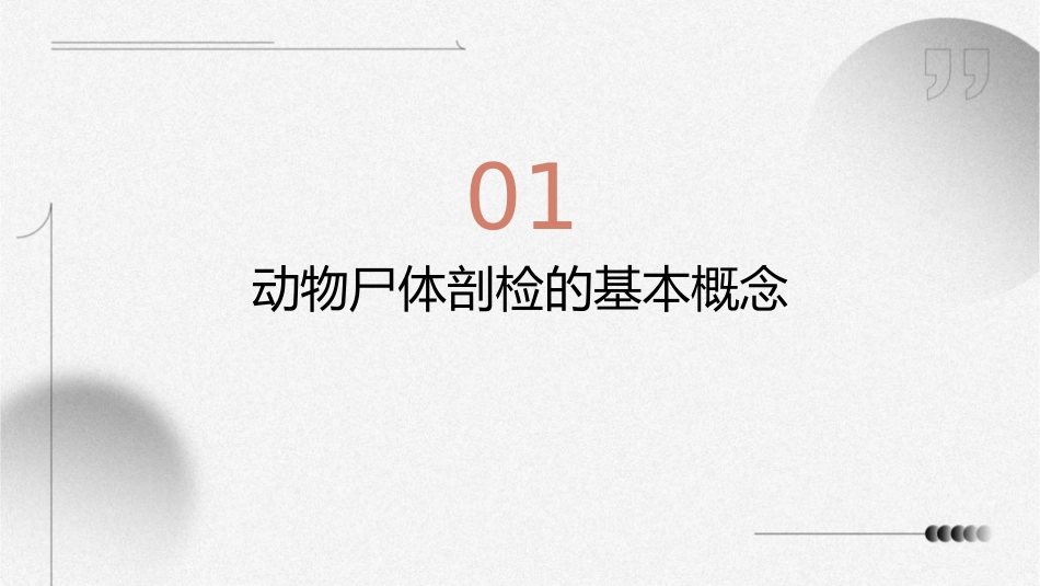 动物病理学 动物尸体剖检家禽的尸体剖检护理课件_第3页