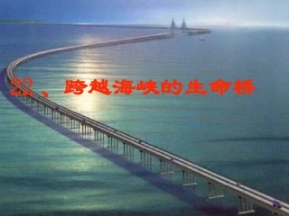 跨越海峡的生命桥 (5)