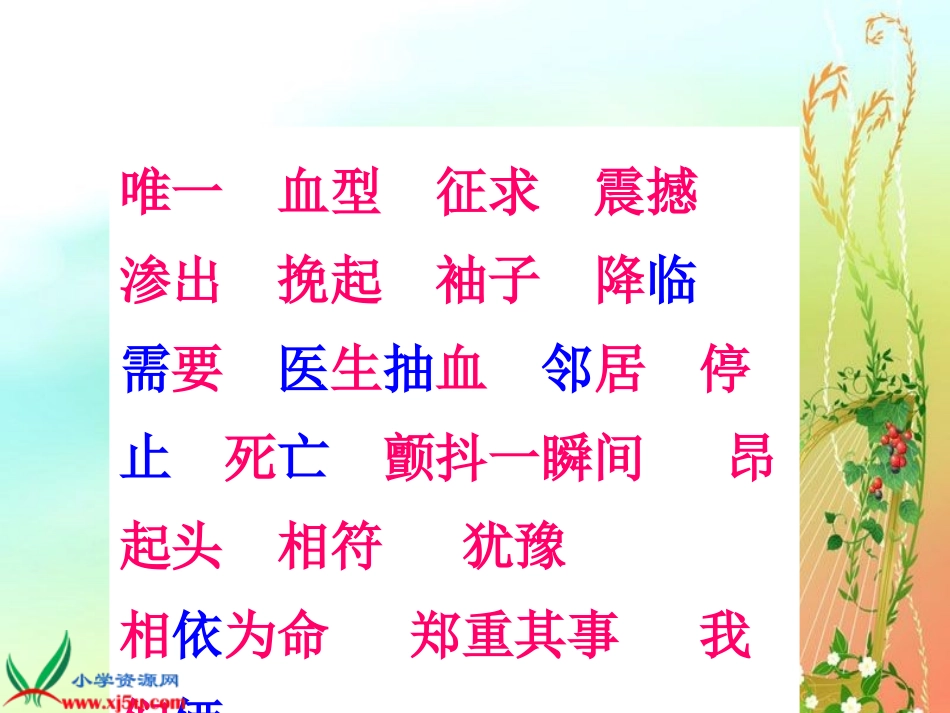 《平分生命》PPT课件_第3页