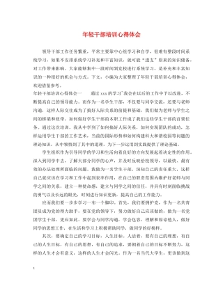 年轻干部培训心得体会 