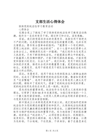 支部生活体会心得