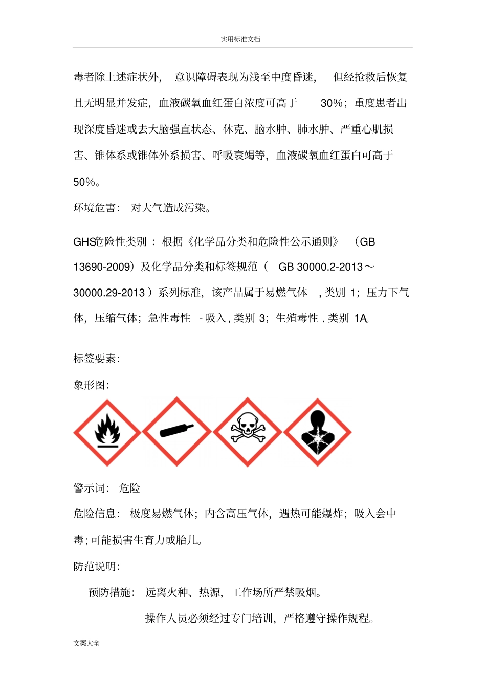 半水煤气一氧化碳和氢气混合物安全系统技术说明书_第2页