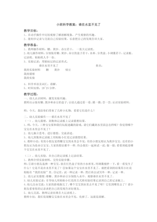 小班科学谁在水里不见了