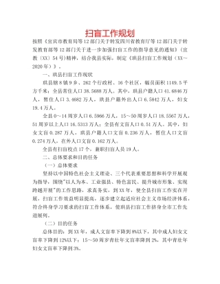 扫盲工作规划 