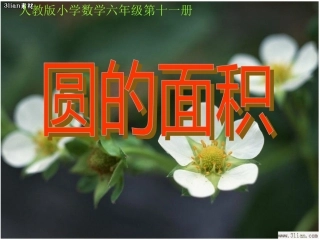 人教版小学数学六年级上圆的面积公式推导PPT课件