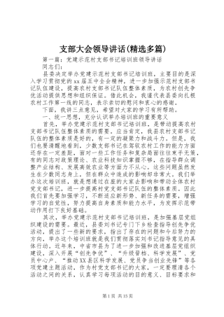 支部大会领导讲话发言(精选多篇)