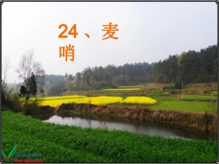 （人教新课标）四年级语文课件麦哨2