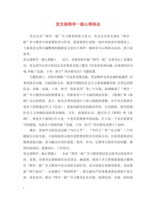 党支部两学一做心得体会 (000001)