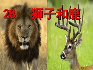 新课标人教版语文三年级上册《28狮子和鹿》