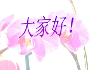 《自己的花是让别人看的》PPT