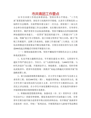 市共青团工作要点 