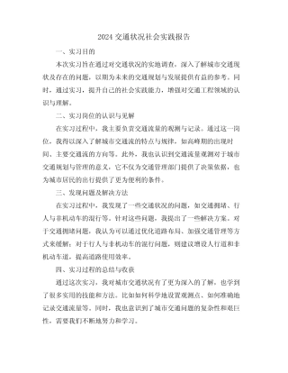 2024交通状况社会实践报告 