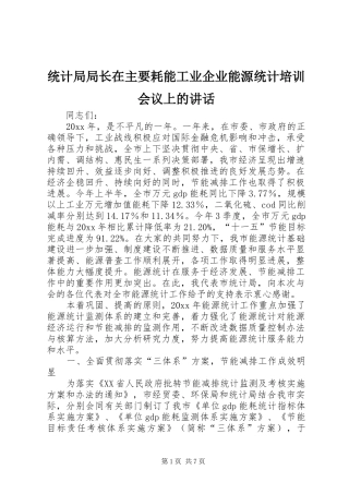 统计局局长在主要耗能工业企业能源统计培训会议上的讲话发言