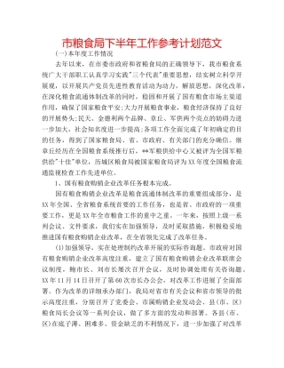 市粮食局下半年工作参考计划范文 