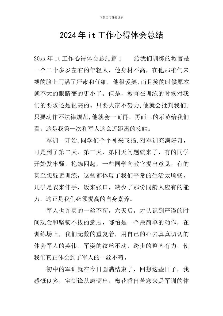 2024年it工作心得体会总结_第1页