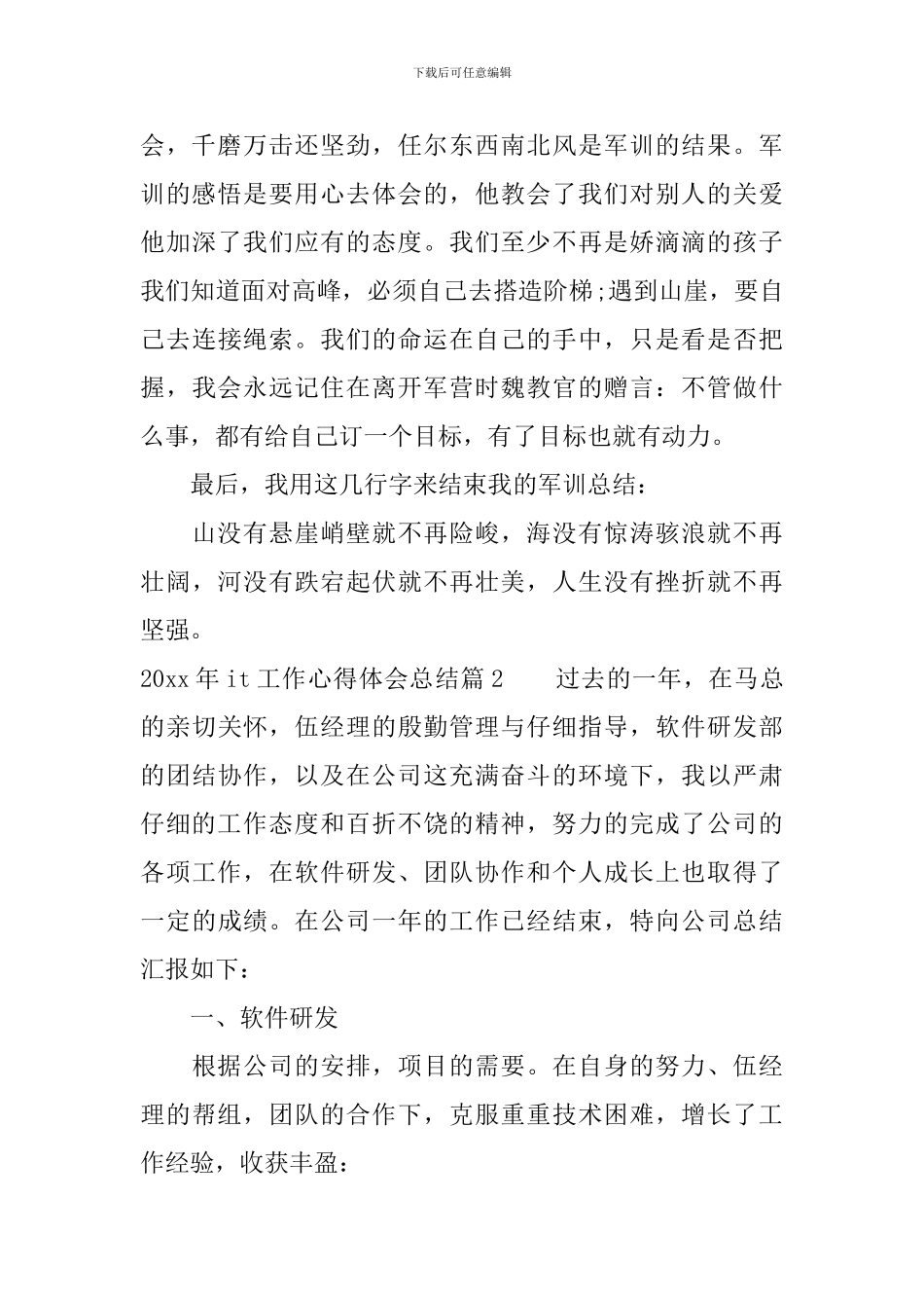 2024年it工作心得体会总结_第2页