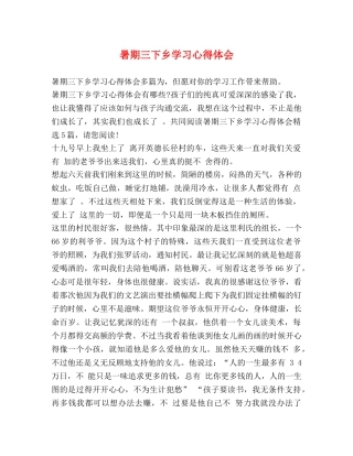 暑期三下乡学习心得体会 