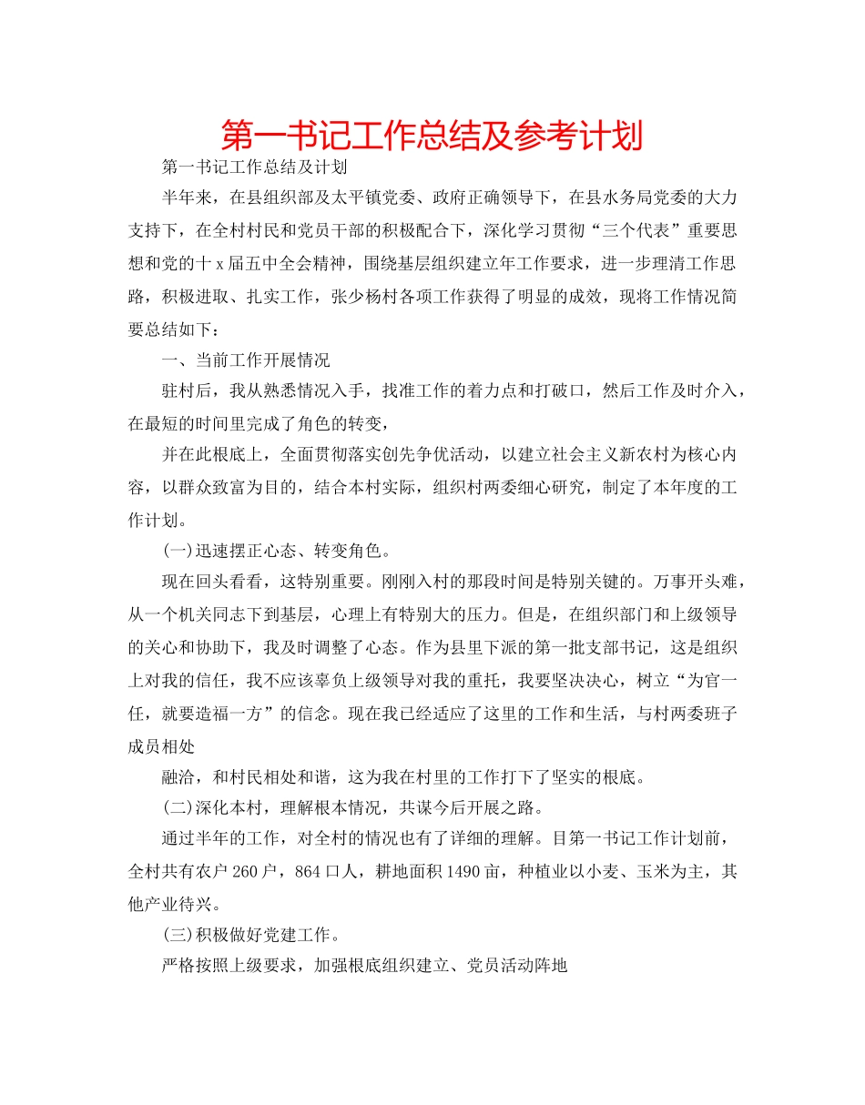 第一书记工作总结及参考计划 _第1页