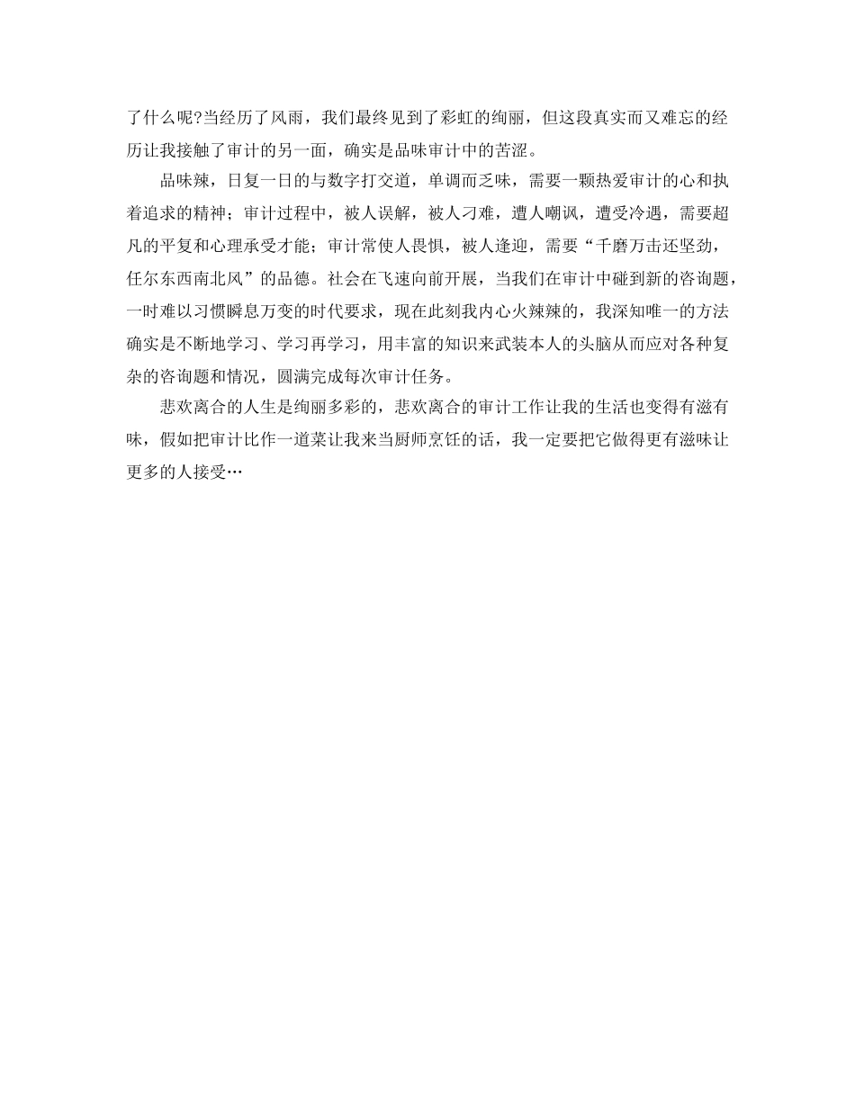 审计工作个人参考心得体会 _第2页