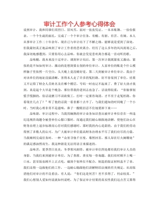 审计工作个人参考心得体会 