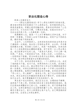 职业化塑造心得
