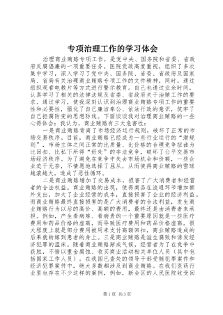 专项治理工作的学习体会