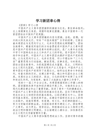 学习新团章心得