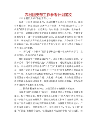 农村团支部工作参考计划范文 